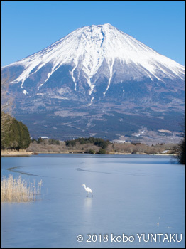 凍結した田貫湖と富士山