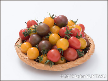 鹿沼産の色とりどりのミニトマト